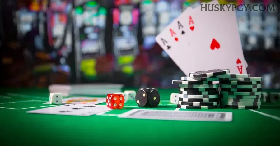 Formulário registro huskypg